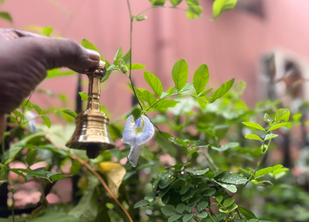 POOJA BELL WITH NANDHI HT (3.5 inch)