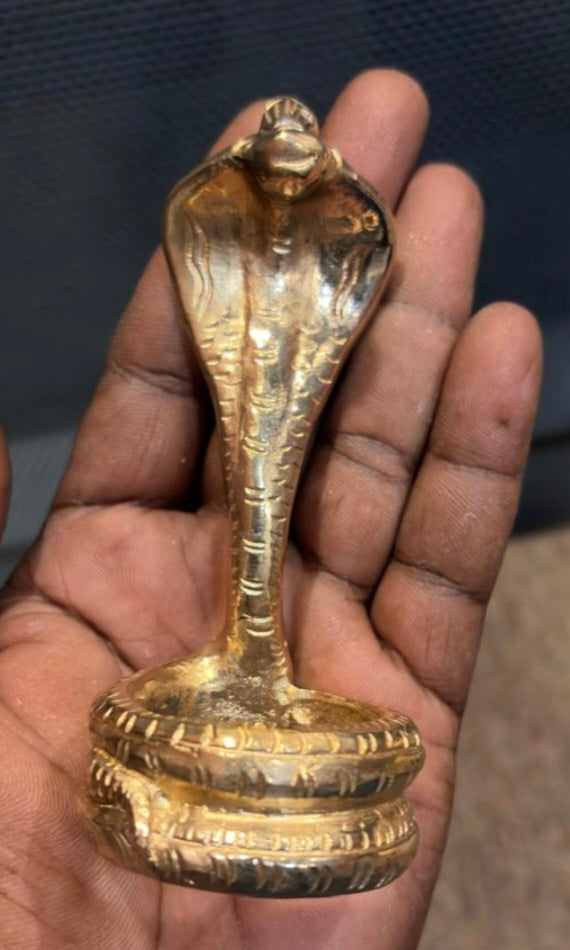 NagaWeight: 237g
Height:4inch
Width:1 inch
Price:Rs2250