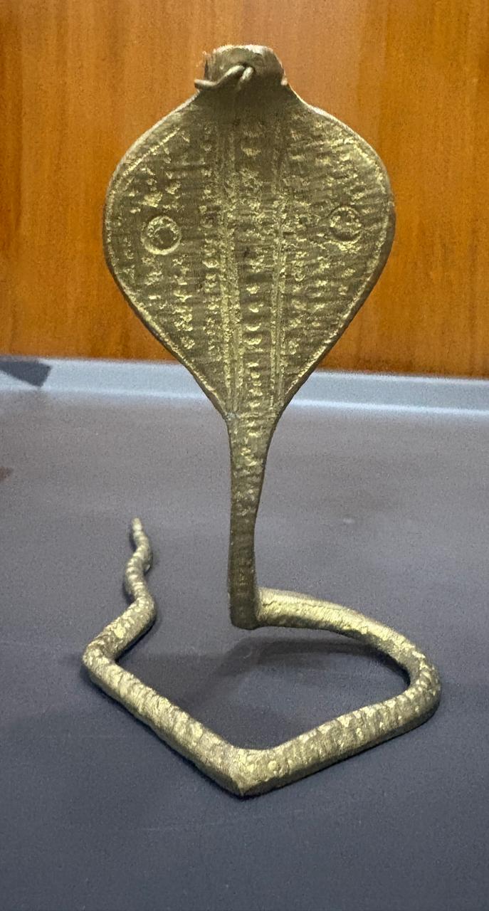 snake