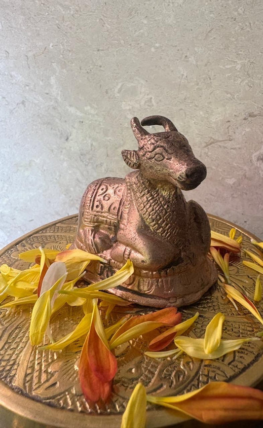 Nandhi: