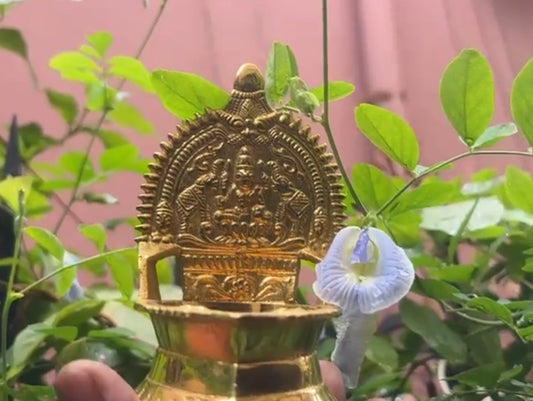 KAMATCHI AMMAN VILAKKU MINI