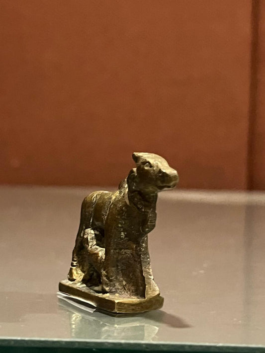 Kamadhenu cow50G/1.5inch