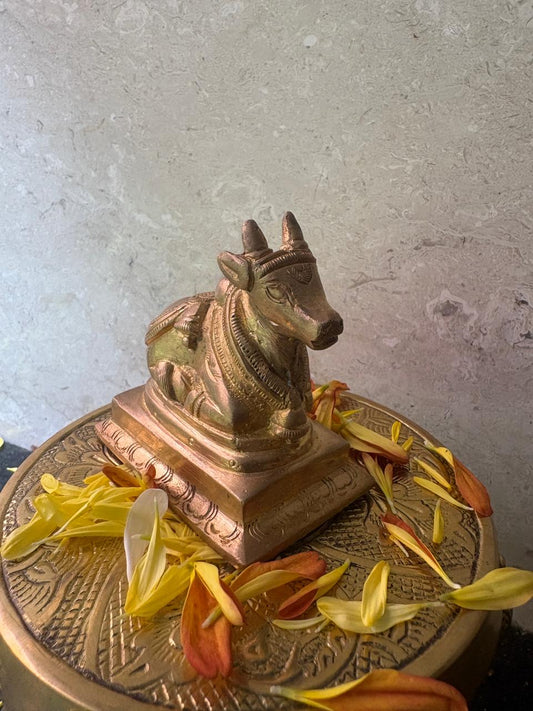 Nandhi